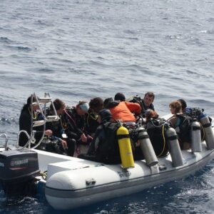 speed boat1 1.jpg