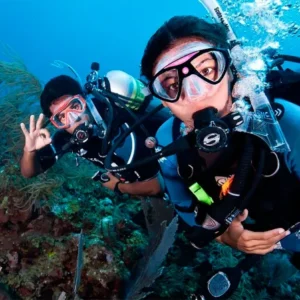 courses scuba diver 1 1.webp