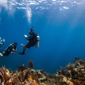 discover scuba diving 3 1.webp